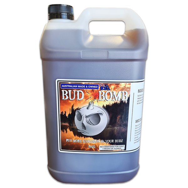 BUD BOMB DUTCHFEST FIVE LITRE image 0