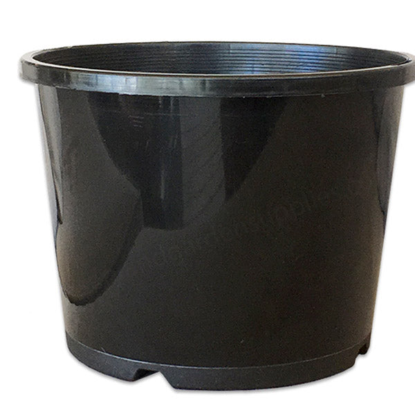 270MM STANDARD BLACK SQUAT POT WITH HOLE image 0