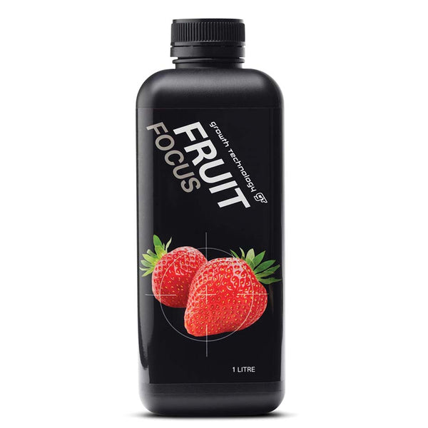 FRUIT FOCUS image 0