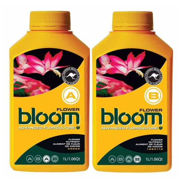 BLOOM FLOWER A & B image 0