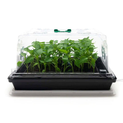 HEAT N GROW PROPAGATION SET 3 PART LID LATTICE CATCHMENT image 0