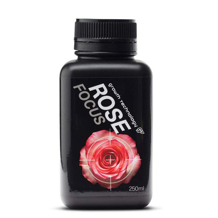 ROSE FOCUS image 1