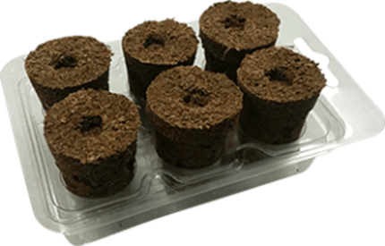 EAZY-PLUG SIX PLUG SEED SOWING SET image 1