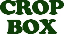 CROP-BOX BLACK 23L SOLID BASE 58 X 41 X 12CM image 1