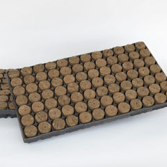 SPEEDGROW PROP 84 PLUG TRAY 38 X 40MM WITH HOLE image 0
