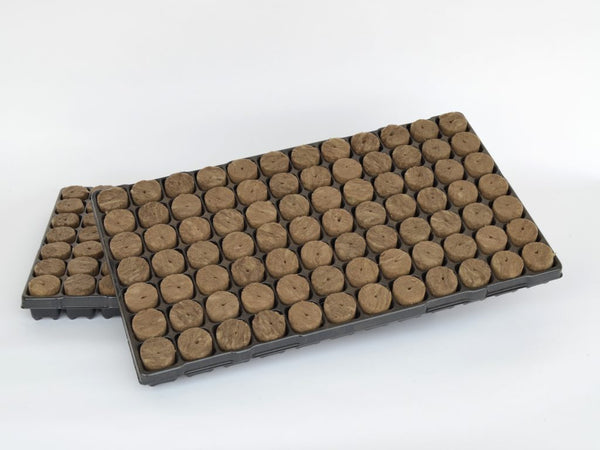 SPEEDGROW PROP 84 PLUG TRAY 38 X 40MM WITH HOLE image 0