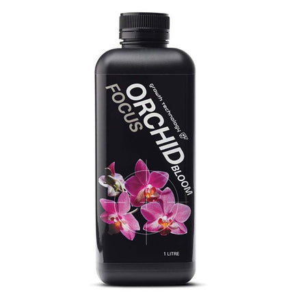ORCHID FOCUS BLOOM image 0