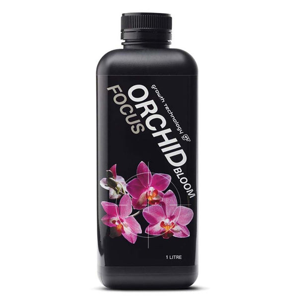 ORCHID FOCUS BLOOM image 0
