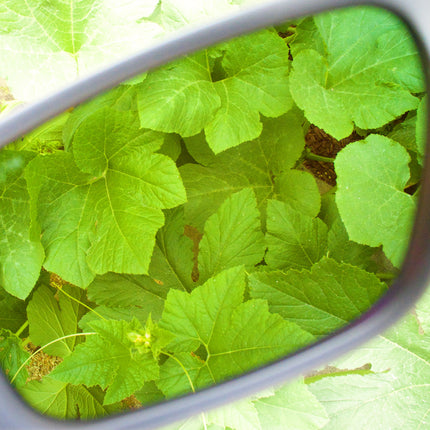 METHOD 7 CITADEL FX PREMIUM CLASSIC GLASSES image 9