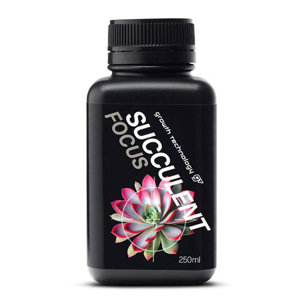 SUCCULENT FOCUS image 1
