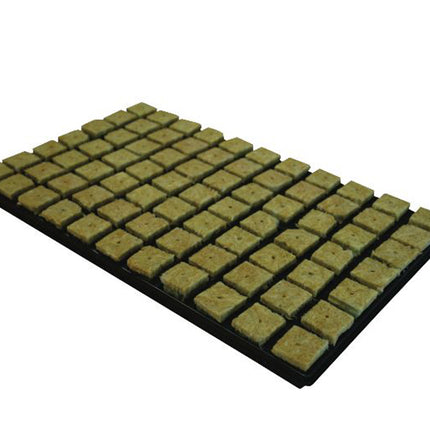CULTILENE LARGE PROP CUBES 35MM TRAY OF 77 image 0