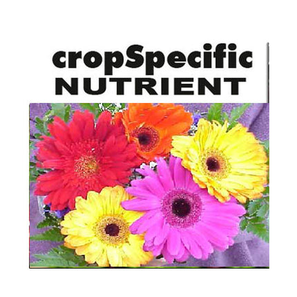 GERBERA MIX 20 KG A & B PACK image 0