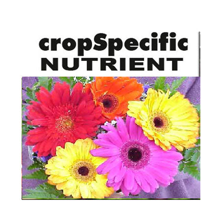 GERBERA MIX 20 KG A & B PACK image 0