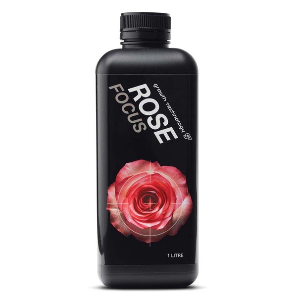 ROSE FOCUS image 0