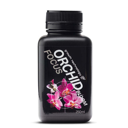 ORCHID FOCUS BLOOM image 1