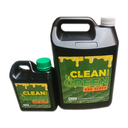 CLEAN AND GREEN FIVE LITRE image 1