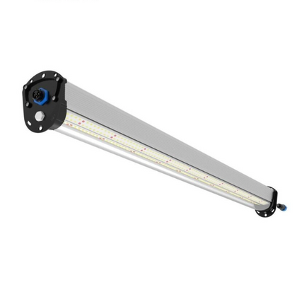 U-LIGHT UNDER CANOPY 100W LED