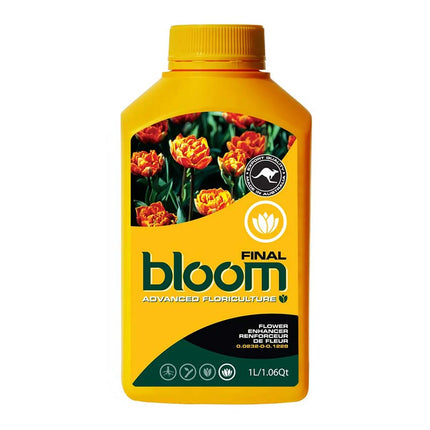 BLOOM FINAL image 0