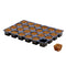 EAZY-PLUG CT-24 TRAY image 0