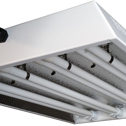 STARLITE T-55 (WHITE BOX) 4 X 55 WATT LIGHT WITH SERIES PORT image 0