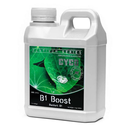 CYCO B1 BOOST image 1