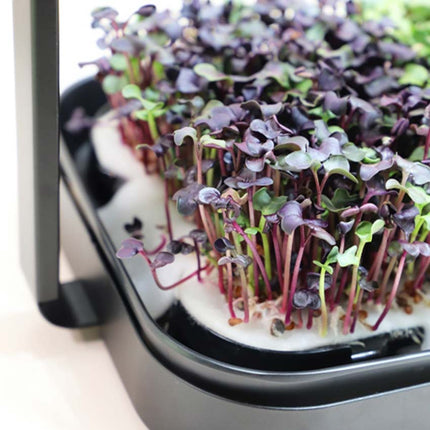 MINI MICRO-GREENS - PROPAGATION KIT C/W LED 3000 / 6400K image 2