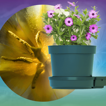 GOGRO FIFTEEN LITRE MODULE image 2